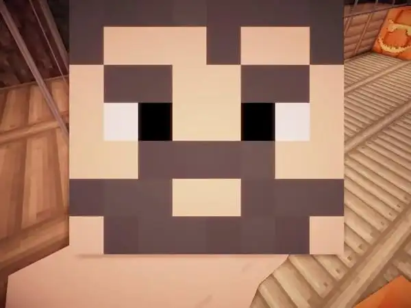 我的世界马桶解说jixian空岛