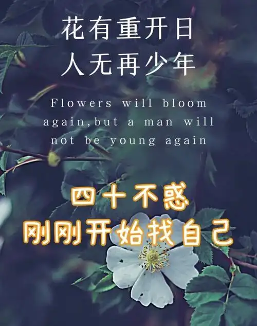 四十不惑的精美图片,四十不