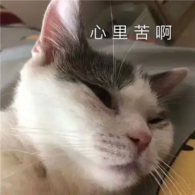 超级有趣的搞怪的表情包图片