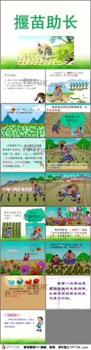 《揠苗助长》ppt课件15