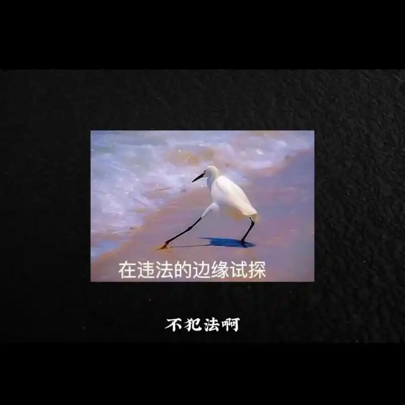 为什么吴亦凡要坐牢罗志祥却不用?