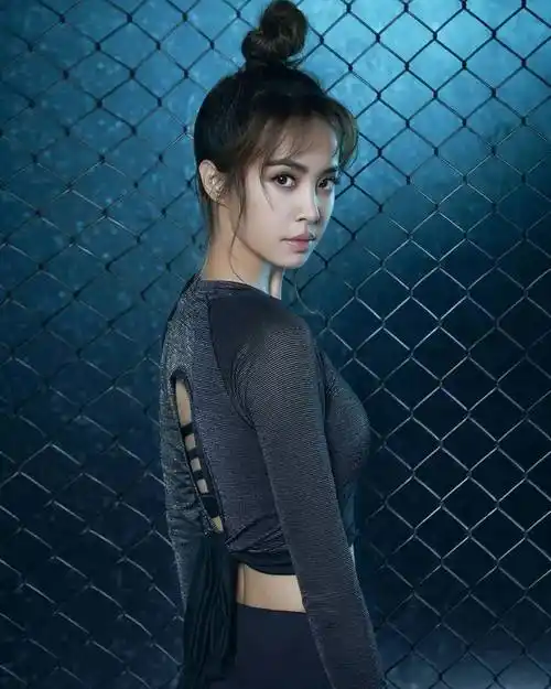 歌手蔡依林照片集锦