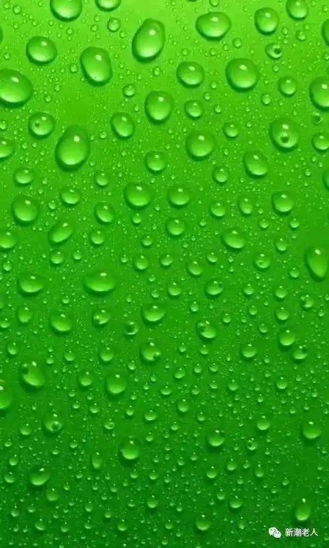 高清微信护眼图,选一张当聊天背景图吧!(附24首养生音乐)