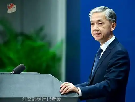 汪文斌 资料图 图源:外交部网站