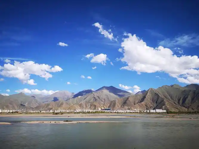 路边的风景 - 华为p20系列分享交流 花粉俱乐部