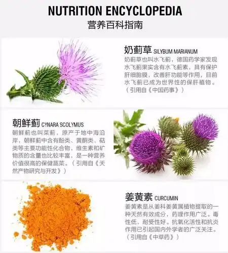 swisse护肝片功效与作用与禁忌真的是长期熬夜必备吗