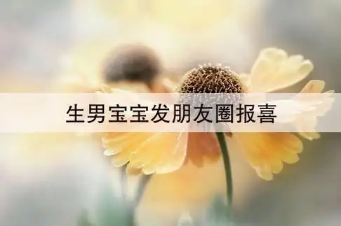 朋友圈报喜的句子,男孩出生发朋友圈的话(3)生儿子怎么发朋友圈报喜