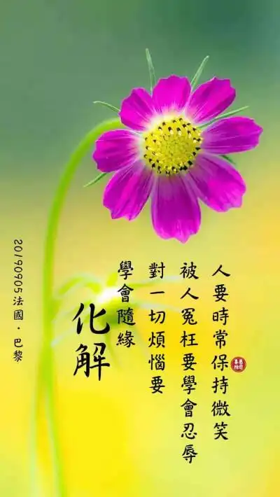 接待你们,你们如果有感恩心,你们就是拥有菩提心