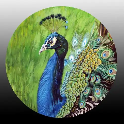 油画孔雀
