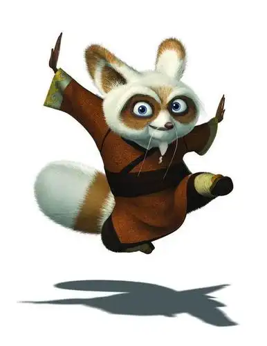 幻灯图集组图功夫熊猫人物写真之浣熊师傅