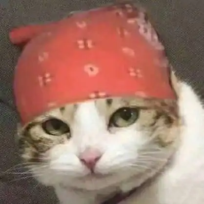 戴头巾猫咪头像_猫咪_头像_头巾表情