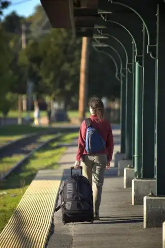 西方人,一个人,栏杆,走,拉,竖图,室外,白天,草地,草坪,植物,道路,路,