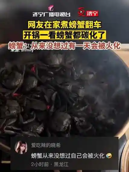 螃蟹:从来没想过有一天会被火化 做饭 黑暗料理 搞笑-度小视
