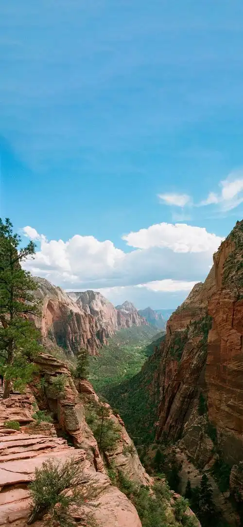 有没有那种4k画质的超高清壁纸