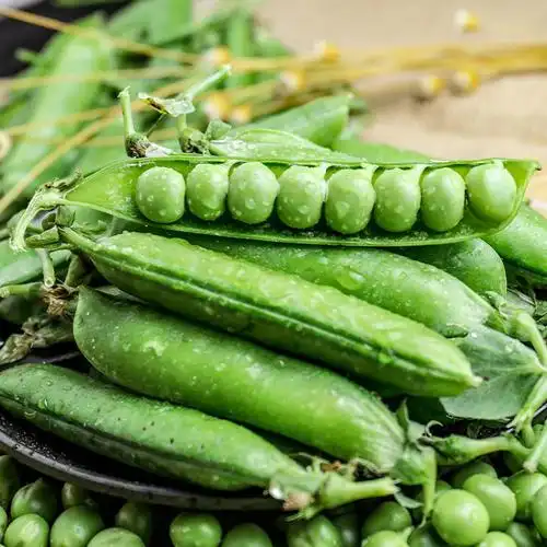 水果蔬菜图图片-海量高清水果蔬菜图图片大全 - 阿里巴巴