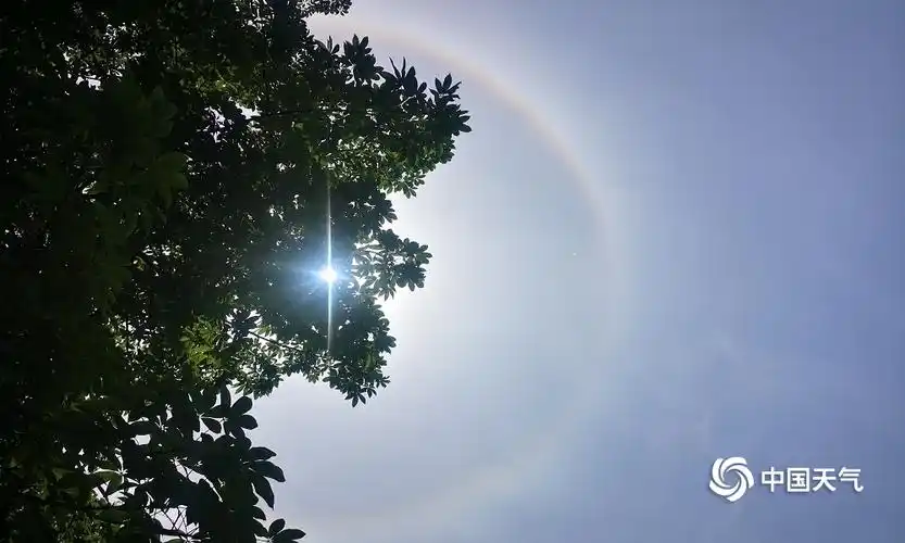 福建龙岩天气晴朗 卷层云折射出日晕奇观