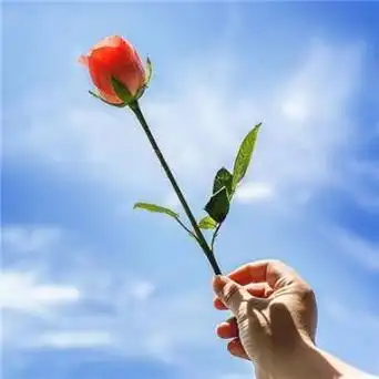 好看的正能量女生头像 女生头像图片大全 -【爱个性】