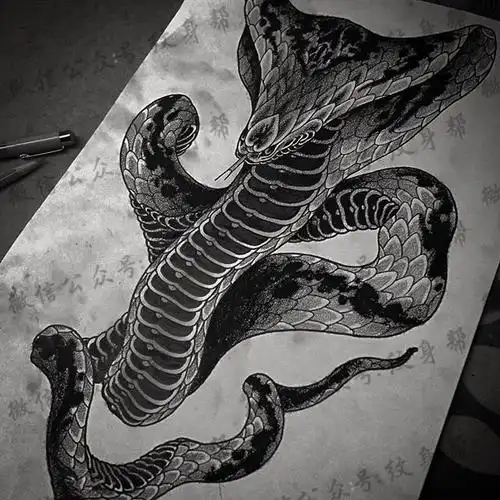 手稿逼真写实的蛇纹身图案