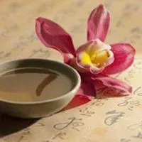 一杯茶一本书微信头像_微信头像图片大全