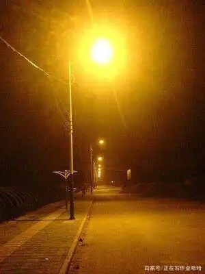 路灯(现)(献给正在黑暗中徘徊的你)