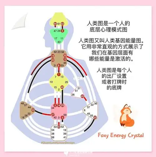 01什么是人类图0102