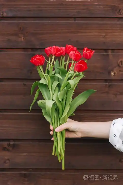 wamans 手拿着红色的花在木背景.郁金香花束