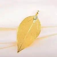 一片叶子头像图片大全_微信头像图片大全