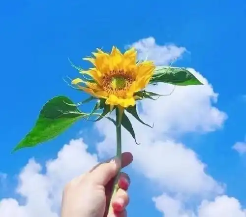 微信图片_20210323181141