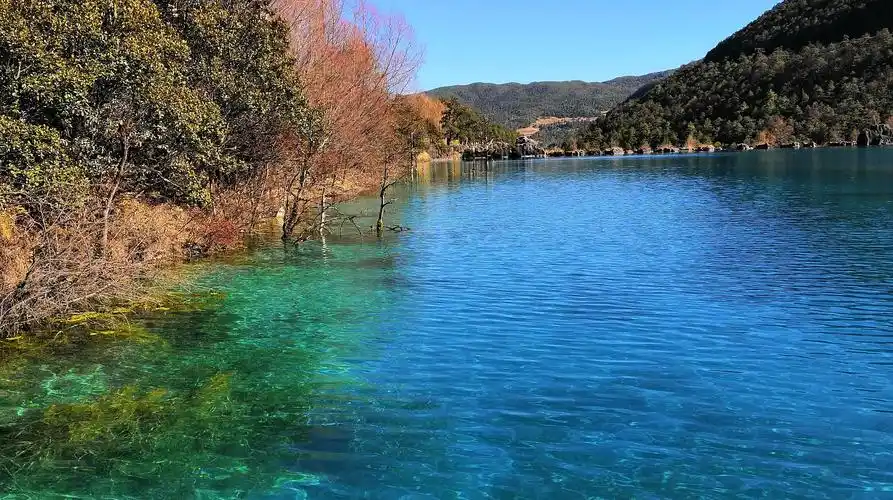 玉龙雪山下的蓝月谷