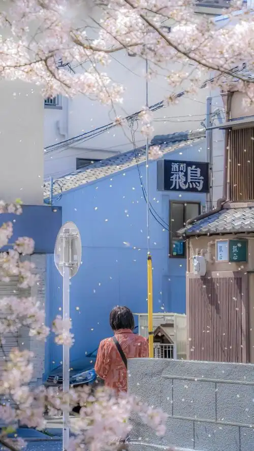 日系壁纸 原创:molana