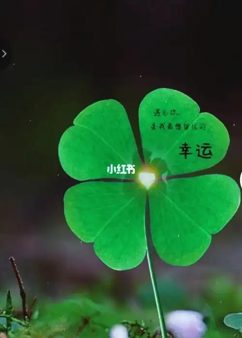 遇见你是我最想留住的幸运