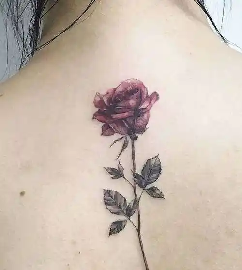 纹身图片大全女生后背(女性背部纹身图案) - 赤虎壹号