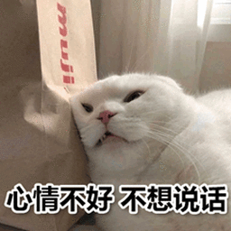 萌宠猫猫咪喵星人心情不好不想说话gif动图_动态图_表情包下载_soogif