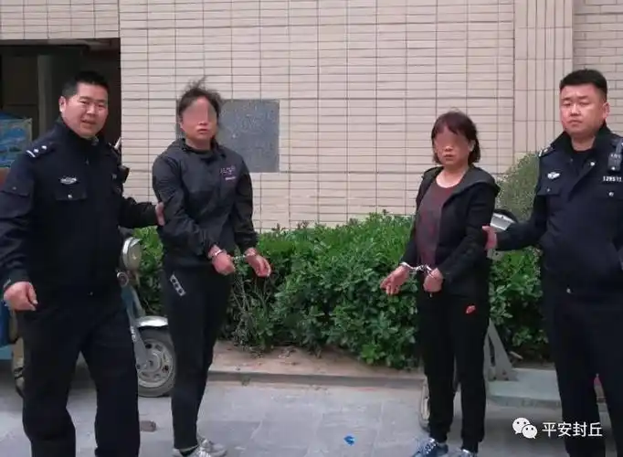 越黄河连环盗窃 俩女贼在封丘落入法网