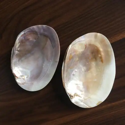 天然贝壳珍珠蚌壳 珍珠河蚌壳 抛光打磨饰品工艺品 原料