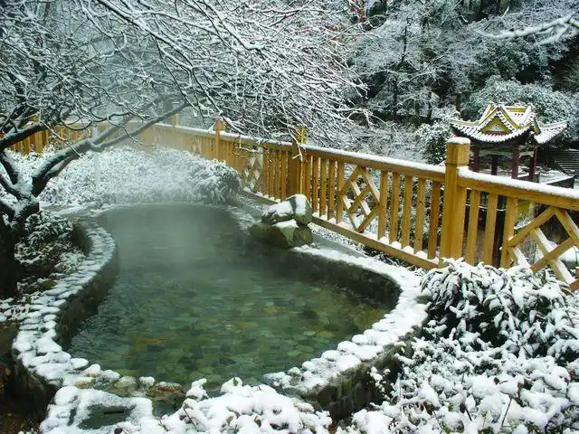 黄山温泉2日游>纯玩不购物 含温泉门票 宿黄山温泉度假酒店