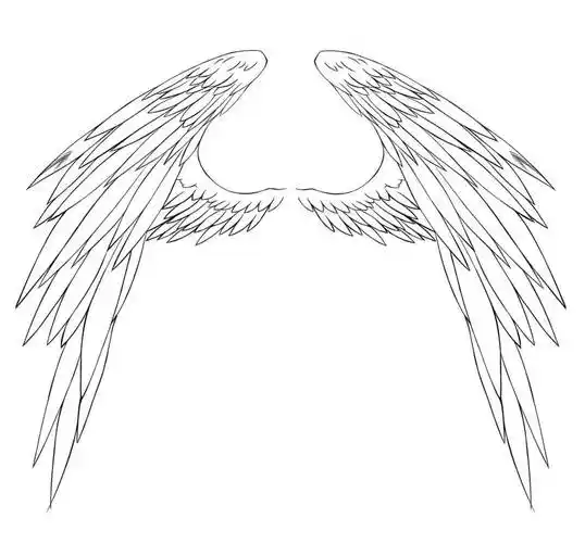 简单的翅膀的画法分享原来翅膀下面藏着一个橘子瓣儿跟杏儿22333