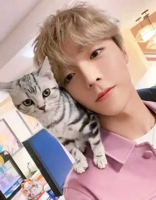 蔡徐坤学猫叫表情真逗,陈立农晒和猫咪自拍,爱猫男孩你pick哪个?