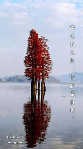 生活禅 | 淡定看人生,宁静做自我