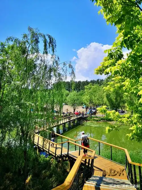 这样的美景竟是真实存在的!周末休闲好去处-东郊湿地公园