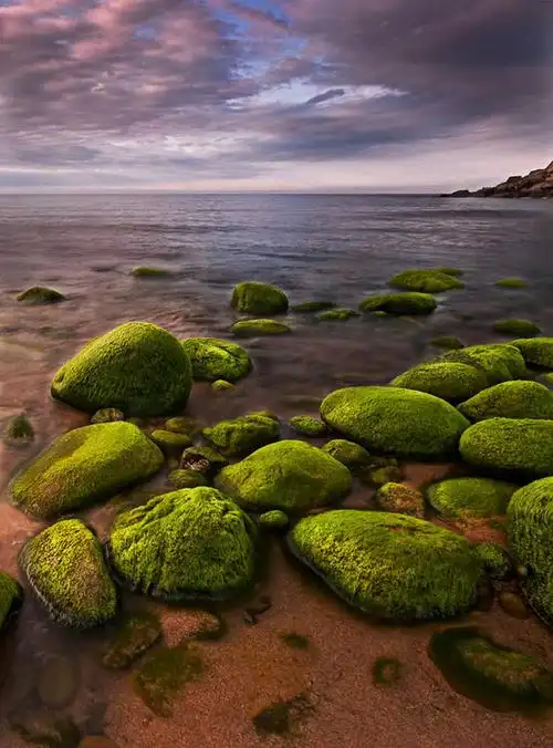 竖图,室外,海洋,美景,西班牙,景观,水平线,苔藓,天气,绿色,风景,自然