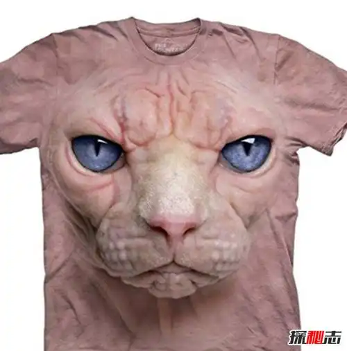 你敢穿吗?世界上最奇怪的10件服装,拥抱我的夹克