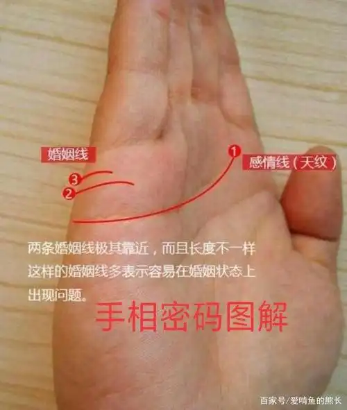 或者超过三条,或者有断裂纹,分叉纹,这类婚姻线预示着主人对婚姻状况