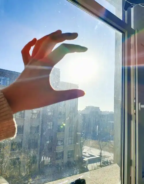 午后用手轻触阳光