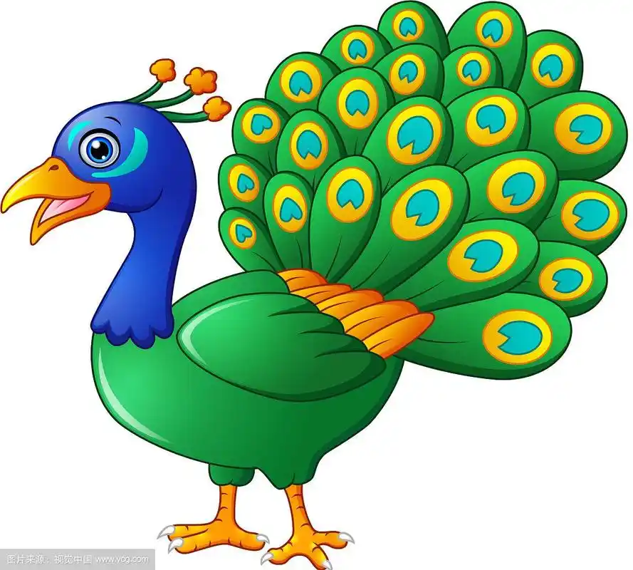 快乐的孔雀卡通孤立在白色的背景