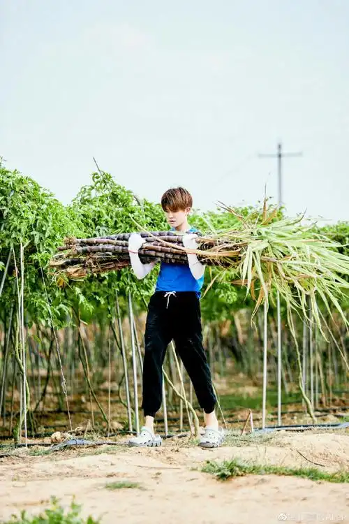 昨天有嘉人问综艺考古,我就随便弄了下,看看就好#任嘉伦#20170311快乐