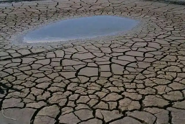 20世纪70年代未,查干湖水域面称仅存50多平方公里,湖水变色,几近干洞