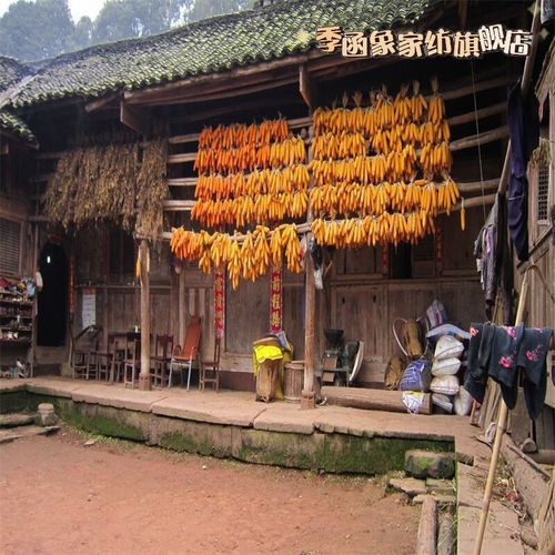 季函象20233d直播间主播背景拍视频窑洞农民乡村土砖破旧房屋网红背景