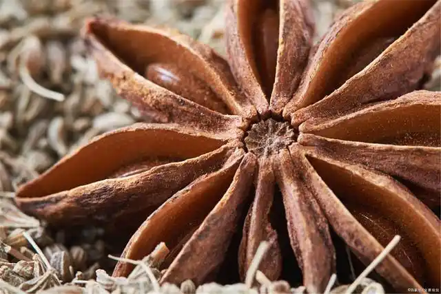 "假八角"有毒?千万别乱买,快看看家里有没有,发现及时扔掉!