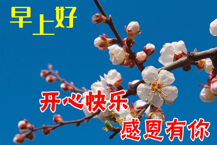 最漂亮早上好动态表情图片大全早晨好动图美图大全